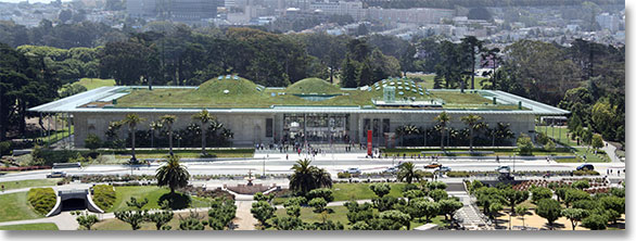 California Academy of Sciences - San Francisco