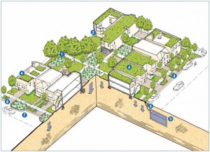 San Francisco Stormwater Management Guidelines