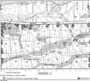 Tentative Map (Sample)